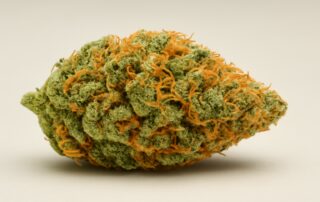 Agent Orange cannabis strain featured image