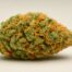 Agent Orange cannabis strain featured image