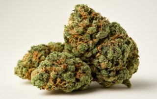 AK-47 cannabis strain featured image