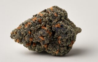Biscotti cannabis strain featured image