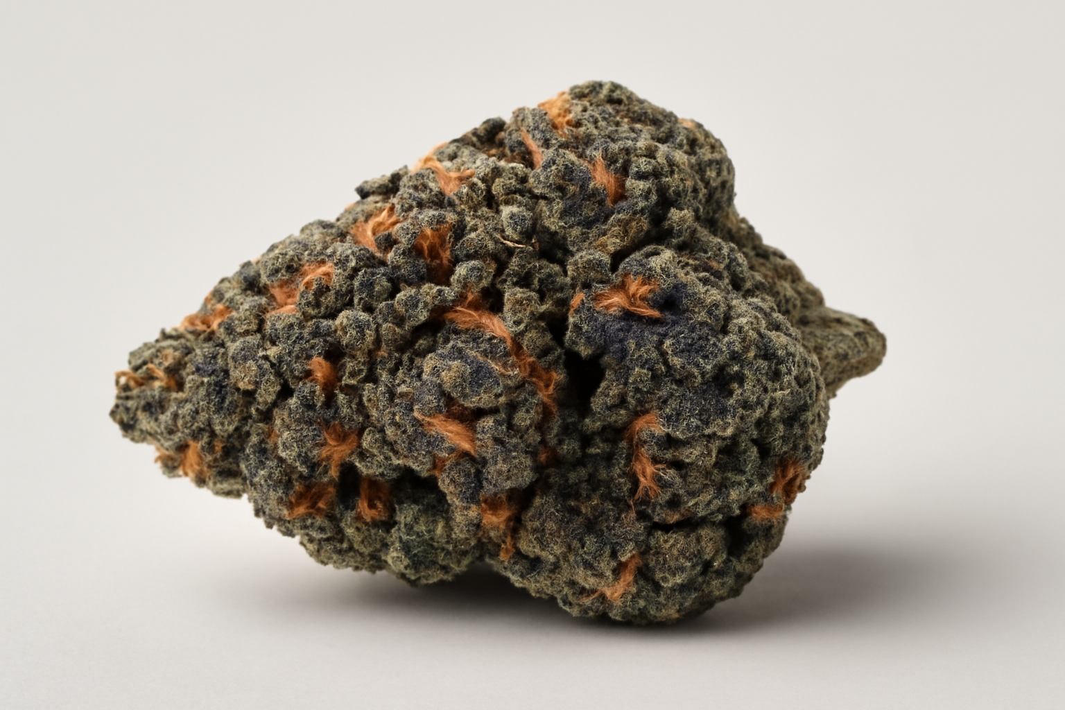 Biscotti cannabis strain featured image