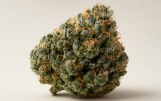 Blue Cheese cannabis strain featured image