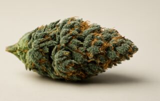 Blue Dream cannabis strain featured image