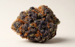 Blueberry cannabis strain featured image