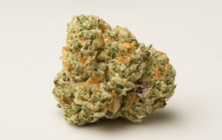 Cereal Milk cannabis strain featured image