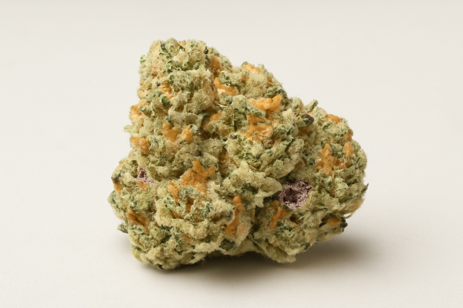 Cereal Milk cannabis strain featured image