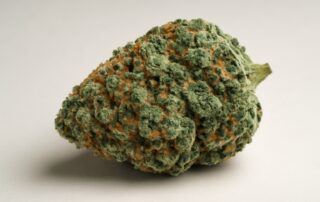 Chemdawg cannabis strain featured image