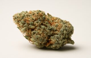 Chemdog cannabis strain featured image