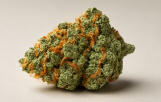 Clementine cannabis strain featured image