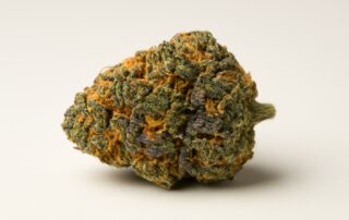 Do-Si-Dos cannabis strain featured image