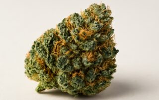 Headband cannabis strain featured image