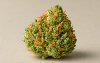 Jillybean cannabis strain featured image