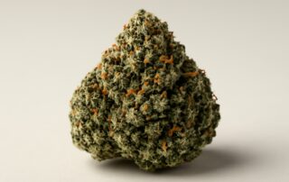 Kosher Kush cannabis strain featured image