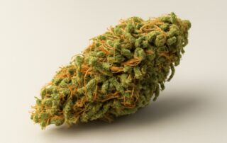 Maui Wowie cannabis strain featured image