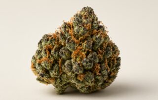 Mendo Breath cannabis strain featured image