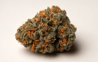 Mimosa cannabis strain featured image