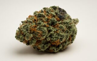 Northern Lights cannabis strain featured image