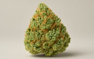 Pineapple Express cannabis strain featured image