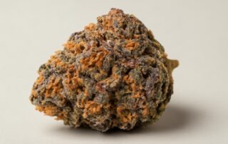 Pink Kush cannabis strain featured image