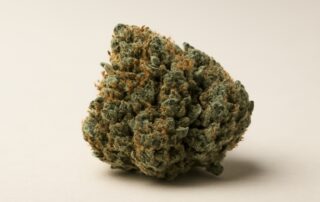 SFV OG cannabis strain featured image