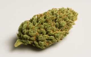 Sour Diesel cannabis strain featured image