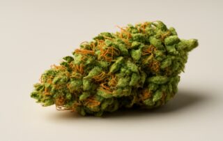 Strawberry Cough cannabis strain featured image