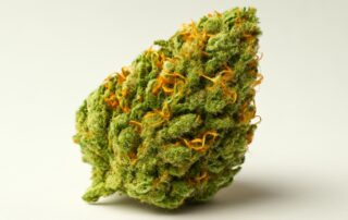 Super Lemon Haze cannabis strain featured image