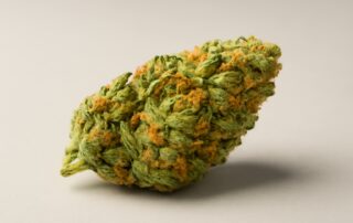 Tangerine Dream cannabis strain featured image