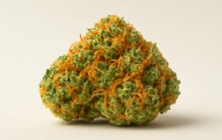Tangie cannabis strain featured image