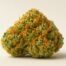 Tangie cannabis strain featured image