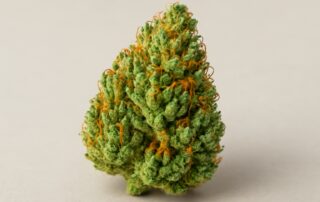 Trainwreck cannabis strain featured image