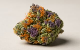 Tropicana Cookies cannabis strain featured image